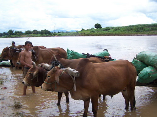 NaMgTei7.jpg