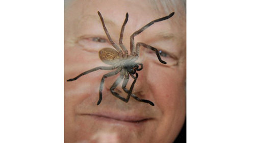 CQLllff0.jpg