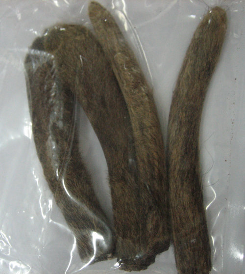 F4UI6725.jpg