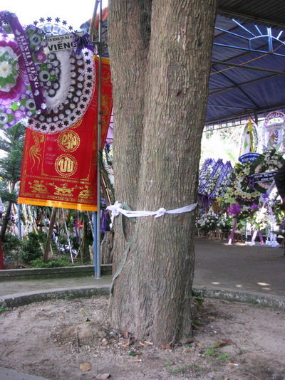 QRPIHmci.jpg