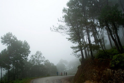 wD8HUk44.jpg