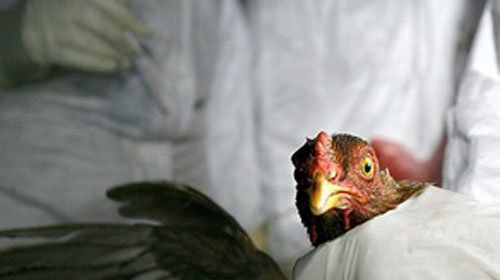 exuahaSe.jpg