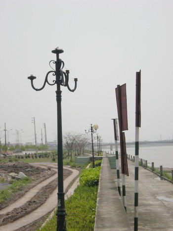 ng6gA801.jpg