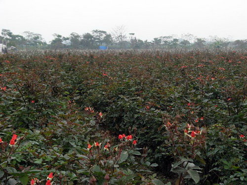 qSXpRHx8.jpg