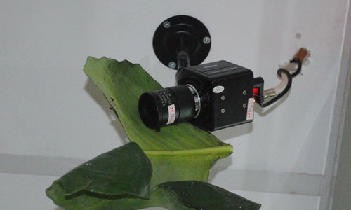 JgbCbyt9.jpg