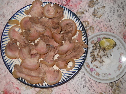 kDrZHYx5.jpg