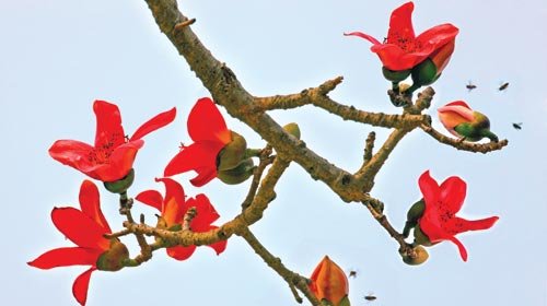 uESaDOa7.jpg