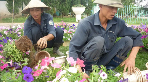 2cFioK9c.jpg