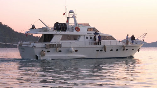 ETomx4S5.jpg