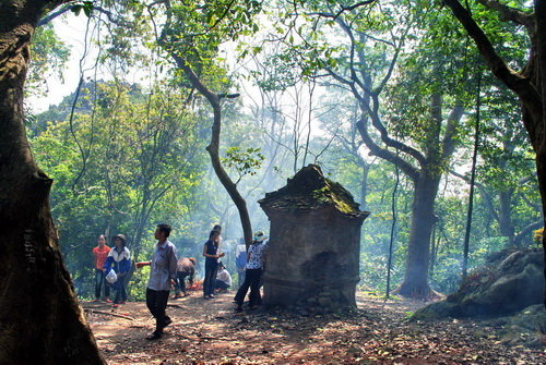 ibp422zw.jpg