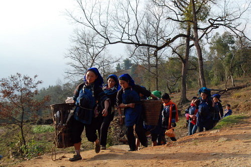 Zqeu96N9.jpg