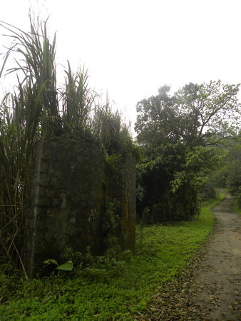 0T0W1511.jpg