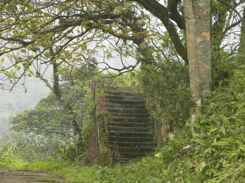 Gi3MswRR.jpg