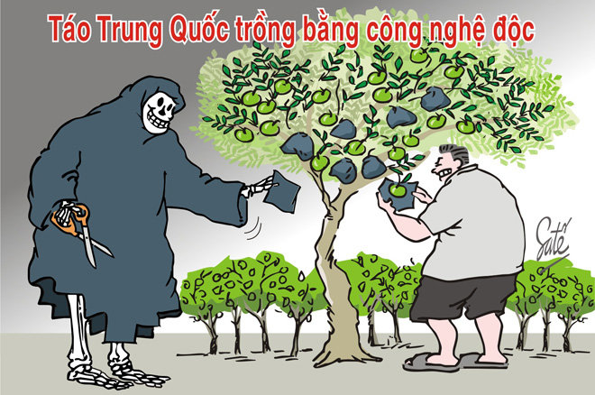 UpCkpkt6.jpg