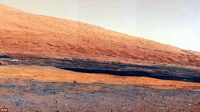 AwV3864p.jpg