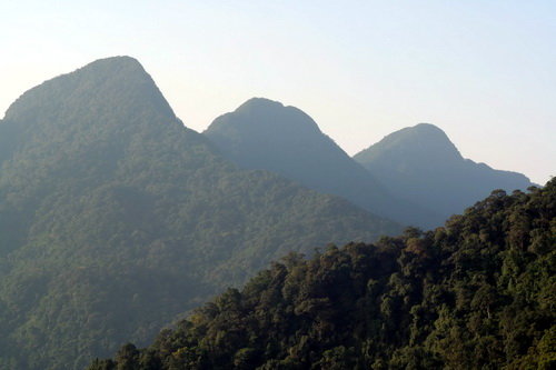 s3crn80a.jpg