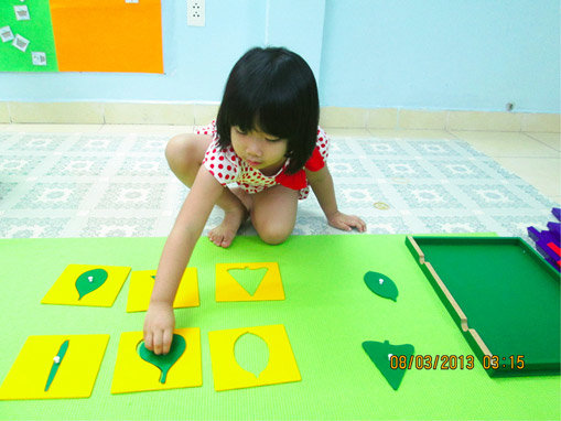 Vận dụng phương pháp Montessori vào môi trường xung quanh