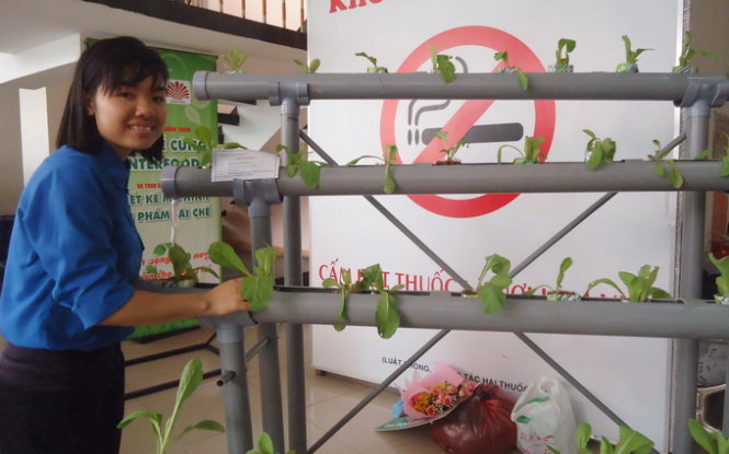 Khởi nghiệp từ mô hình trồng rau thủy canh  Báo Đồng Khởi Online