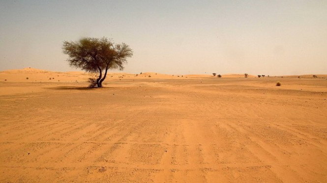 Đã thấy xác 87 người di cư chết khát ở sa mạc Sahara - Tuổi Trẻ Online