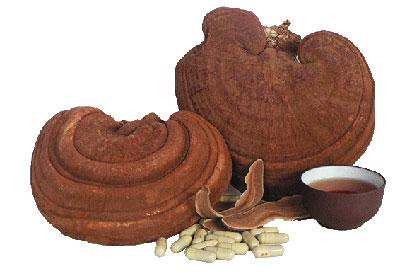 xhuEch78.jpg
