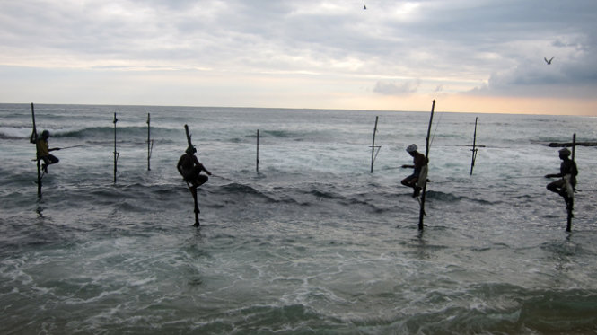 câu cá Sri Lanka: \