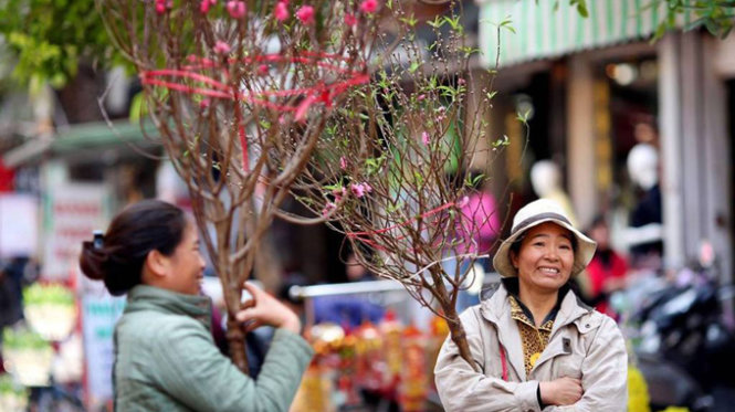 Hoa đào Tết Việt Nam: Hãy xem những hình ảnh cảnh đẹp trong ngày Tết với những chùm hoa đào đỏ rực, mang đến nhiều may mắn và tài lộc cho người dân. Đây là một trong những phong tục truyền thống đặc trưng của Việt Nam.