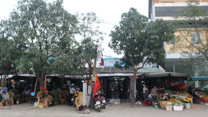 onep9cg6.jpg