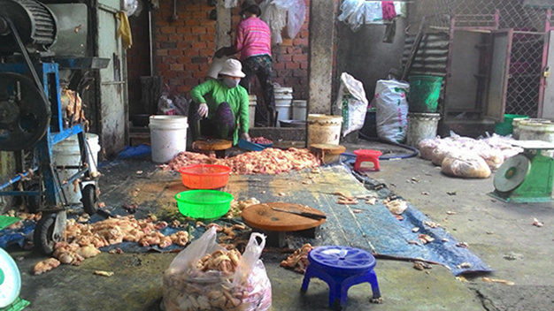 Tại Đồng Nai, cơ quan chức năng kiểm tra cơ sở chế biến mỡ heo hoạt động chui tại xã  Gia Tân 3, huyện Thống Nhất thu giữ và đưa đi tiêu hủy 150kg mỡ ngả màu, bốc mùi hôi thối - Ảnh: Tr.Anh