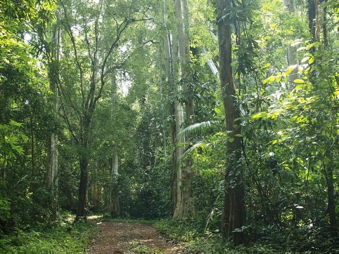 hinh-14-1433495411.jpg