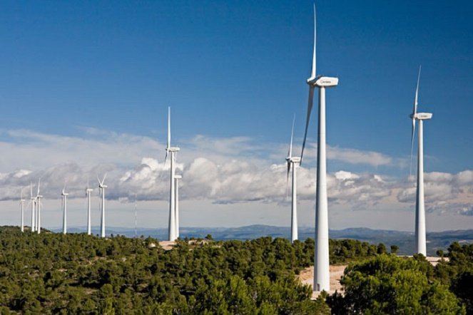 Nhà máy điện gió lớn nhất Việt Nam đi vào hoạt động