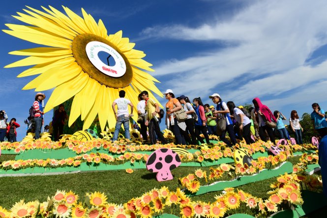 Bạn trẻ tham gia cắm hoa hướng dương trong chương trình Ngày hội hoa hướng dương 2015 tại Q.7, TP.HCM, sáng 22-11 - Ảnh: Thanh Tùng