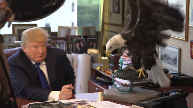 Khoảnh khắc con đại bàng tấn công ông Trump - Ảnh: BoredPanda