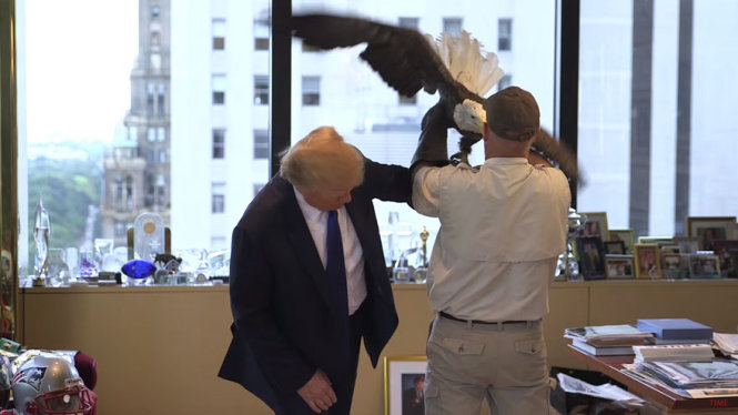 Chuyên gia huấn luyện chim đang giúp xoa dịu con đại bàng sau khi nó tấn công ông Trump - Ảnh: BoredPanda