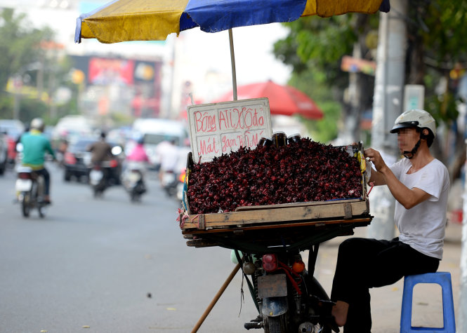 Bông atisô được quảng cáo với công dụng mát gan và bổ máu bày bán trên đường Cộng Hòa, Q.Tân Bình, TP.HCM - Ảnh: Hữu Khoa