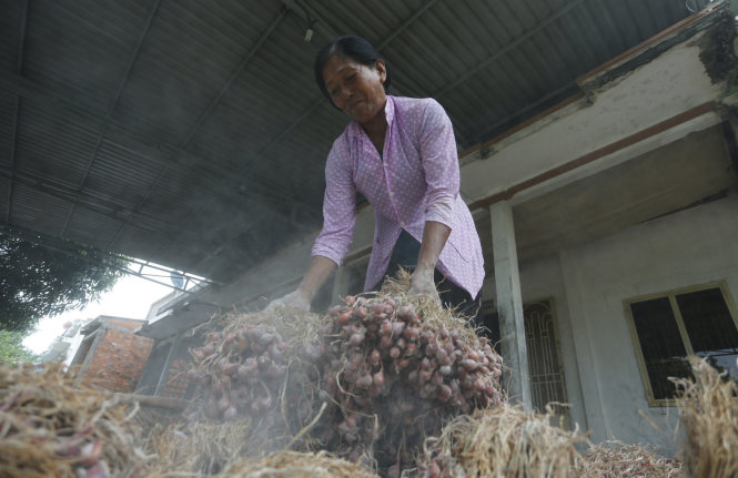 Bụi trắng bám trên củ hành là vôi trộn thuốc bảo vệ thực vật có tác dụng bảo quản hành làm giống. Bụi hoá chất bảo quản hành giống được xem là một nguyên nhân gây các bệnh về mắt cho người trồng hành