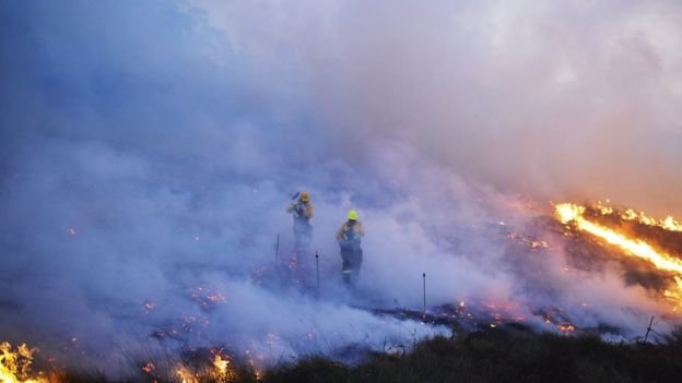 Lính cứu hỏa Tây Ban Nha đang ứng phó với cháy rừng lan rộng - A3nmh:Reuters