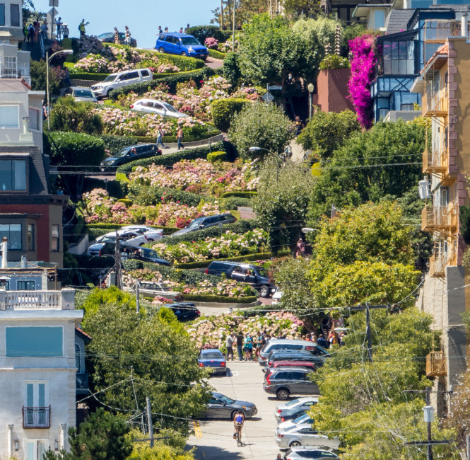 Lombard Street là cái tên đầu tiên được nhắc đến khi nhắc tới những con đường San Francisco dị nhất.