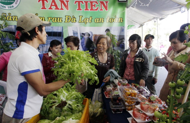 Một cửa hàng bày bán rau risê, một loại xà lách của Pháp trồng theo tiêu chuẩn VietGap trên đường Nguyễn Văn Cừ thu hút nhiều du khách - Ảnh: C.Thành
