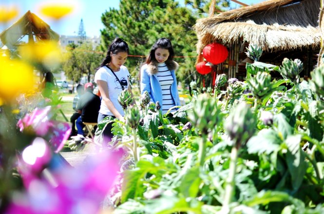 Hai bạn nữ ghé thăm một vườn atiso tại Festival - Ảnh: Lâm Thiên