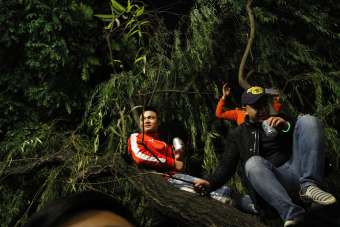 Nhiều thanh niên trèo cả nên cây ven hồ Gươm để uống bia - Ảnh: Nam Trần