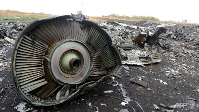 Những mảnh vỡ của MH17 tại miền đông Ukraine Ảnh: AFP