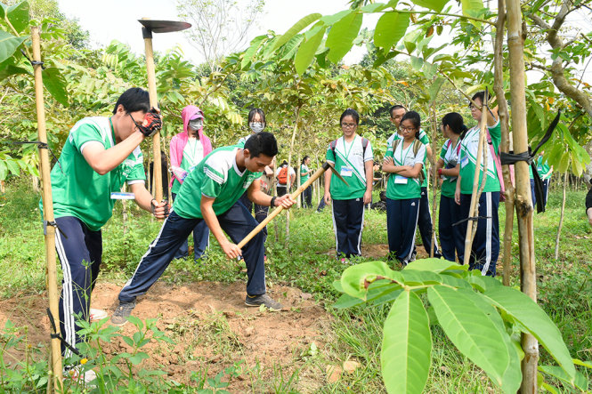 Học sinh Trường THPT Lê Quý Đôn làm vườn ở vườn ươm Đông Thạnh - Ảnh: Thế Đăng Lữ