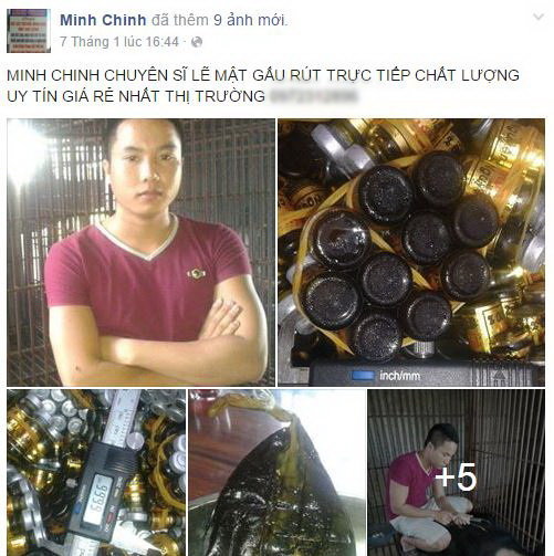Hình ảnh đăng tải trên Facebook Minh Chinh rao bán cao hổ, thịt gấu, đại bàng… - Ảnh: Doãn Hòa chụp lại