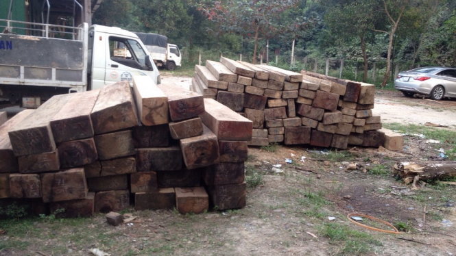 Gần 18 m3 gỗ vô chủ được kết bè thả trên sông - Ảnh: Cơ quan chức năng cung cấp