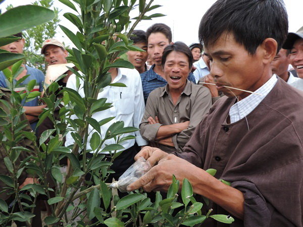 Thi chiết quật - Ảnh: Hoàng Duy