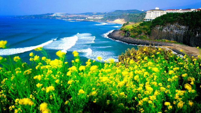 Đảo Jeju - nơi 56 người Việt đi du lịch rồi 