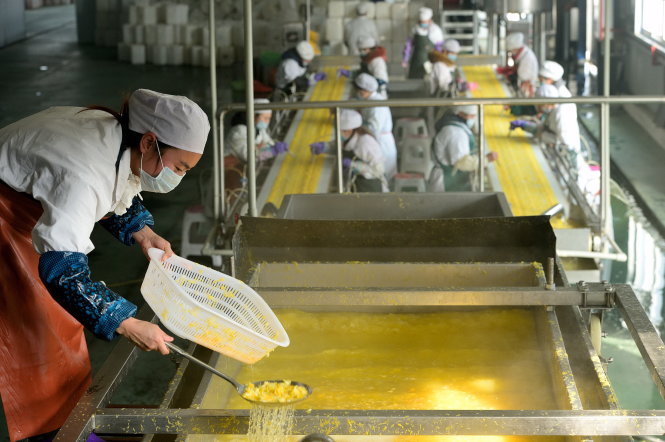 Trong một nhà máy chế biến thực phẩm ở Hồ Bắc. Kinh tế Trung Quốc càng ngày càng tăng trưởng chậm lại - Ảnh: Reuters