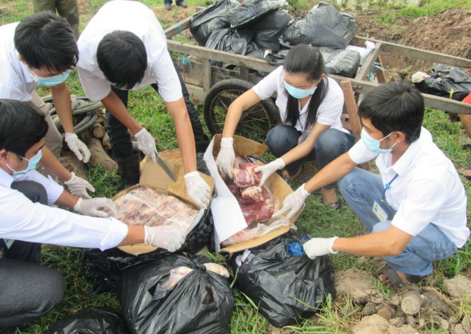 Cơ quan chức năng kiểm tra phát hiện 460kg nội tạng và thịt heo hôi thối tại nhà bà Vân - Ảnh: ĐỨC VỊNH