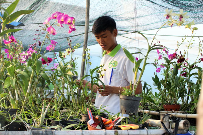 Bạn Trần Hữu Nghị (sinh viên năm 3 khoa nông học Trường ĐH Nông lâm TP.HCM) bán hoa lan tại trại thực nghiệm - Ảnh: T.Hoàng