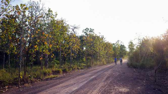 Du khách di chuyển trên con đường đất đỏ chạy xuyên qua rừng.
